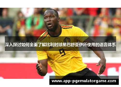 深入探讨如何全面了解比利时球星巴舒亚伊所使用的语言体系