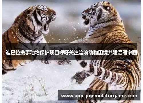 迪巴拉携手动物保护项目呼吁关注流浪动物困境共建温暖家园